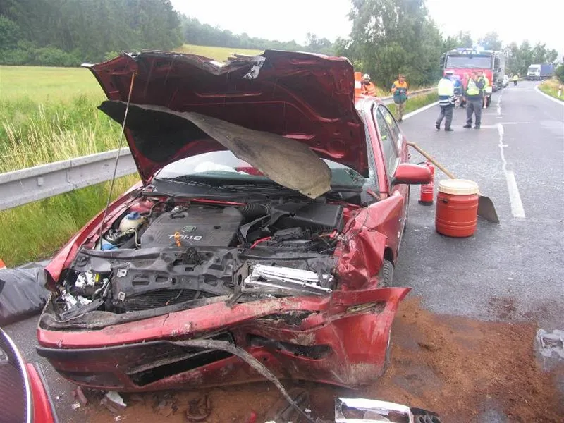 I-57-Linhartovy-2011(2)