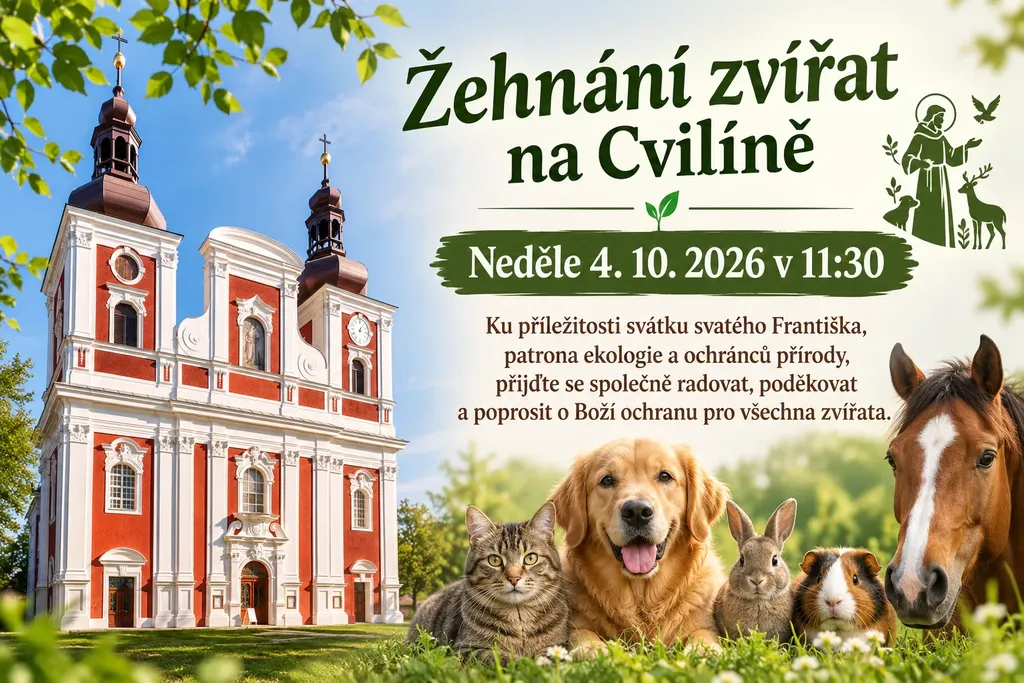 Na Cvilíně se v neděli bude žehnat zvířatům