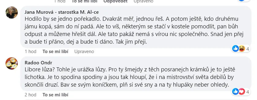 clanek-radni-ruzicka-dron-obrazek-k-clanku (7)