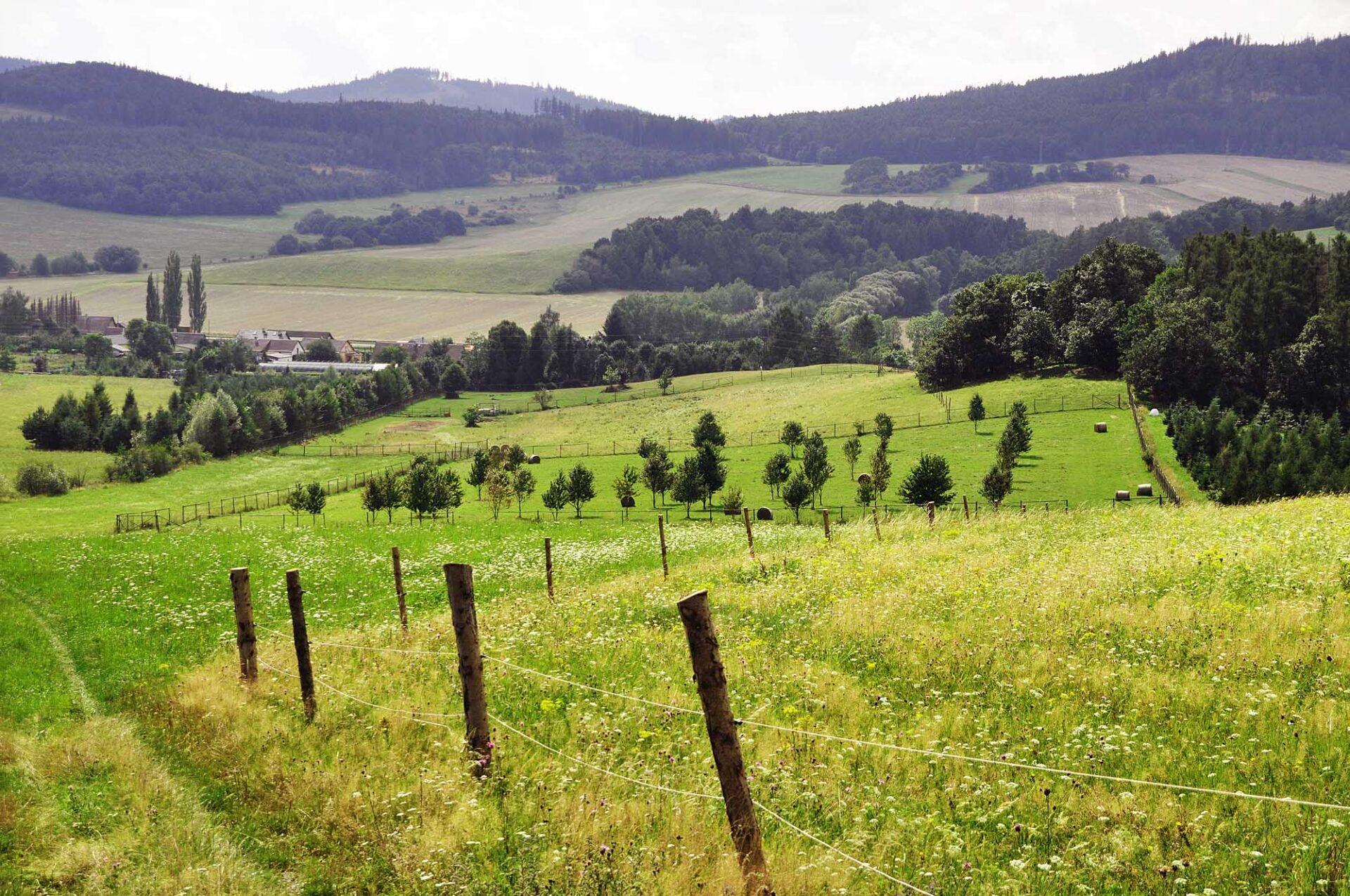 MTO: Kaplička Biskupice – směr vrch Dubí